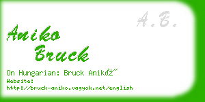 aniko bruck business card